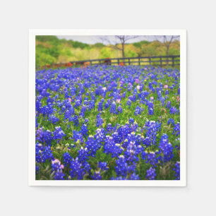 Serviette En Papier Bluebonnets au Texas