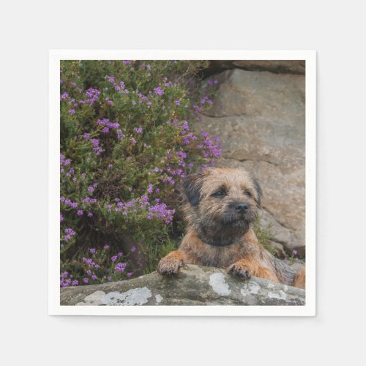 Serviette En Papier Bordure Papier Terrier Naples (Devant)