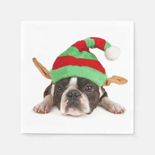 Serviette En Papier Boston Terrier Avec Un Casquette De Noël (Devant)