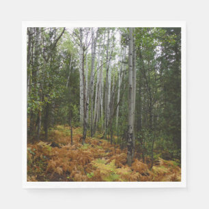 Serviette En Papier Bouleaux blancs et fougères d'automne dans les mon