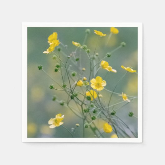 Serviette En Papier Bouteilles jaunes (Devant)