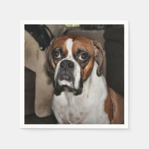 Serviette En Papier Boxer