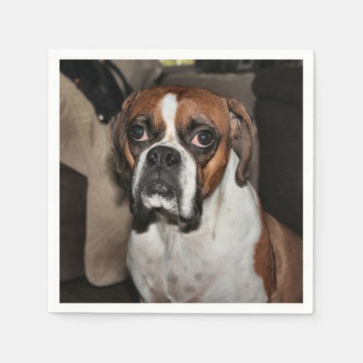 Serviette En Papier Boxer (Devant)