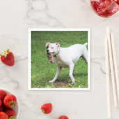 Serviette En Papier Boxer (En situation)
