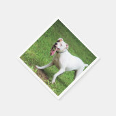 Serviette En Papier Boxer (Coin)