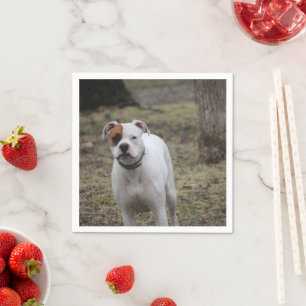 Serviette En Papier Boxer