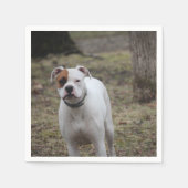 Serviette En Papier Boxer (Devant)
