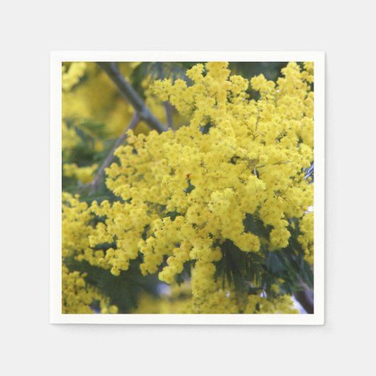 Serviette En Papier Branche de mimosa (Devant)