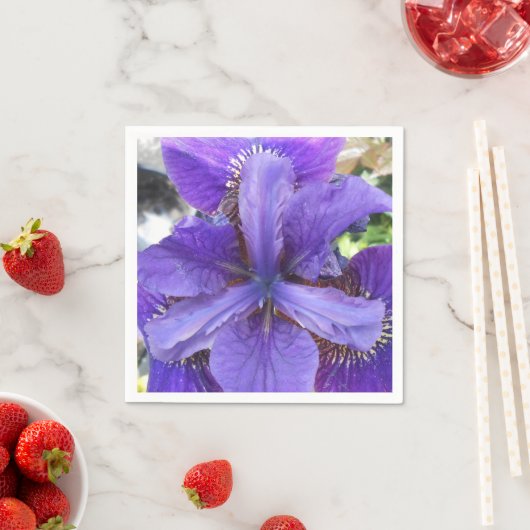 Serviette En Papier Brandeis (En situation)