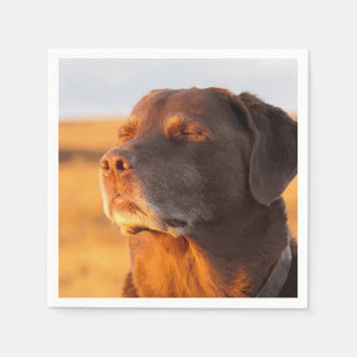 Serviette En Papier Breathe, Just Breathe Dog Napkins