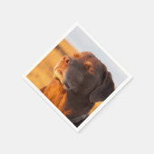 Serviette En Papier Breathe, Just Breathe Dog Napkins (Coin)