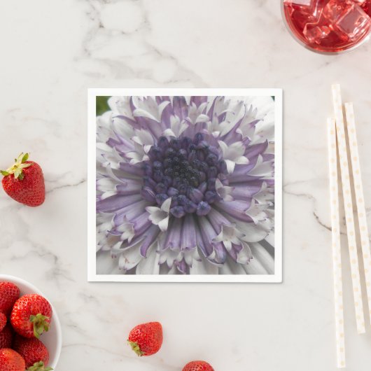 Serviette En Papier Brett (En situation)