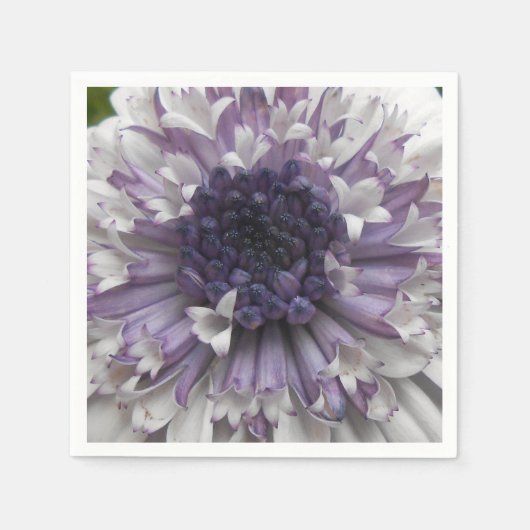 Serviette En Papier Brett (Devant)