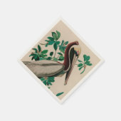 Serviette En Papier Brown Pelican Birds of America Audubon (Coin)