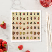 Serviette En Papier Bug d'insectes coccinelle de coccinelle (En situation)