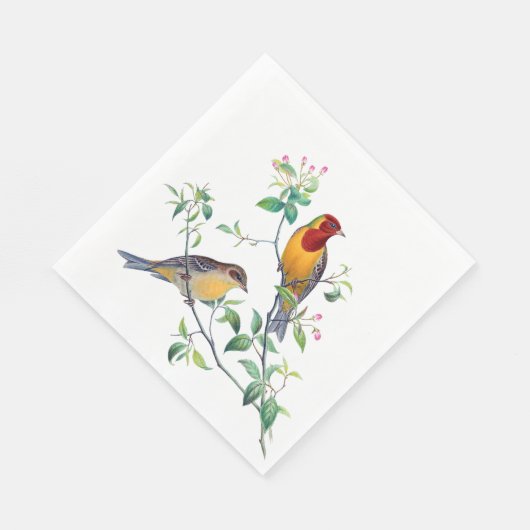 Serviette En Papier Bunting Birds sur Branches (Coin)