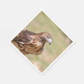 Serviette En Papier Buse à queue rouge dans la vallée de l'Hudson (Coin)