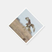 Serviette En Papier Buse à queue rouge immature (Coin)