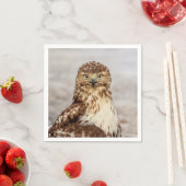 Serviette En Papier Buse à queue rouge immature au sol (En situation)