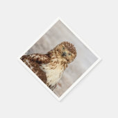 Serviette En Papier Buse à queue rouge immature au sol (Coin)