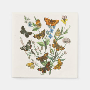 Serviette En Papier Butterflies and Flowers Vintage Illustration 1