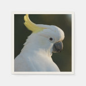 Serviette En Papier Cacao en papier (Devant)