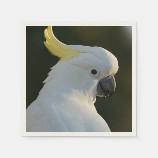 Serviette En Papier Cacao en papier (Devant)