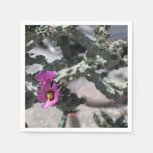 Serviette En Papier Cactus Challa en fleurs (Devant)