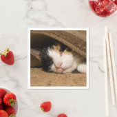 Serviette En Papier Calico Sous Le Tapis (En situation)
