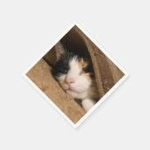 Serviette En Papier Calico Sous Le Tapis (Coin)
