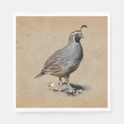SERVIETTE EN PAPIER CALIFORNIE QUAIL (Devant)
