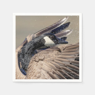Serviette En Papier Canada Goose