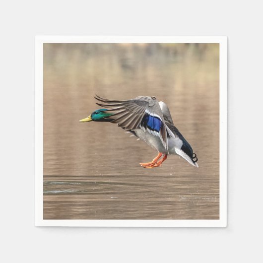 Serviette En Papier Canard Mallard en vol (Devant)
