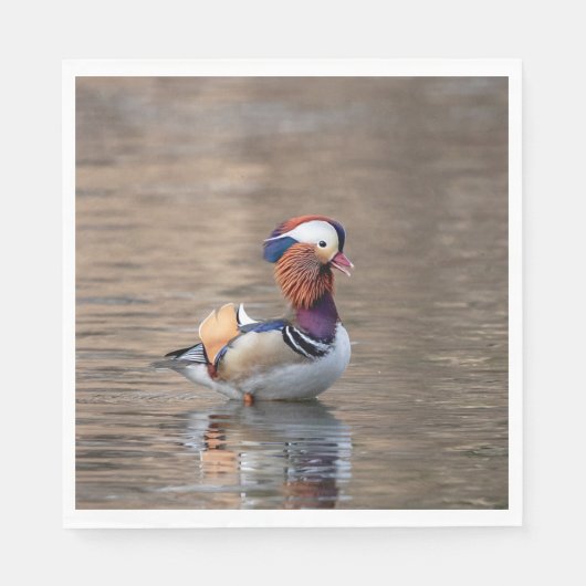 Serviette En Papier Canard mandarin (Devant)