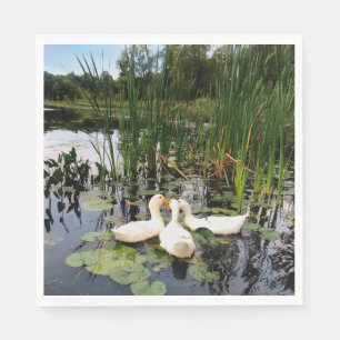 Serviette En Papier Canards blancs, caleçons, cattails, lac
