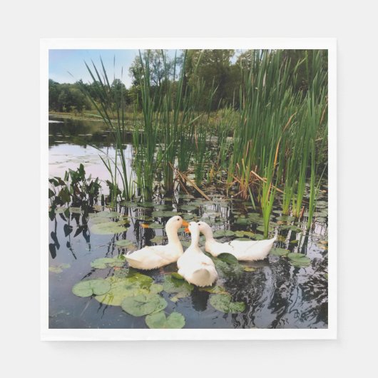 Serviette En Papier Canards blancs, caleçons, cattails, lac (Devant)