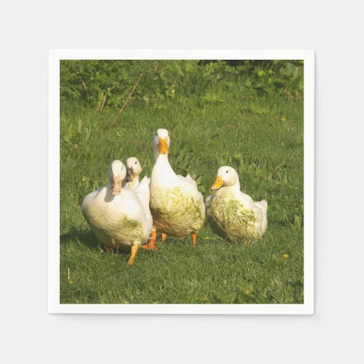Serviette En Papier canards, vivants, prairies, animaux, ferme, vie ru (Devant)
