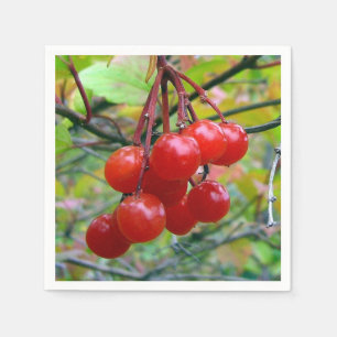 Serviette En Papier Canneberges