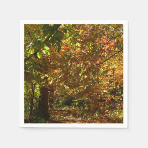 Serviette En Papier Canopée des Feuilles d'automne II Photographie d'a