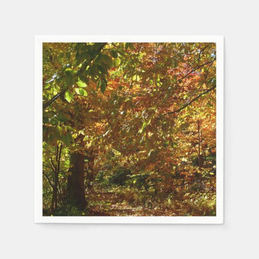 Serviette En Papier Canopée des Feuilles d'automne II Photographie d'a (Devant)