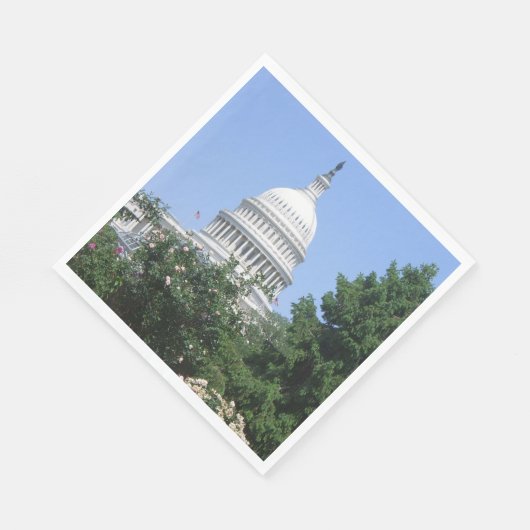 Serviette En Papier Capitol du parc Bartholdi (Coin)