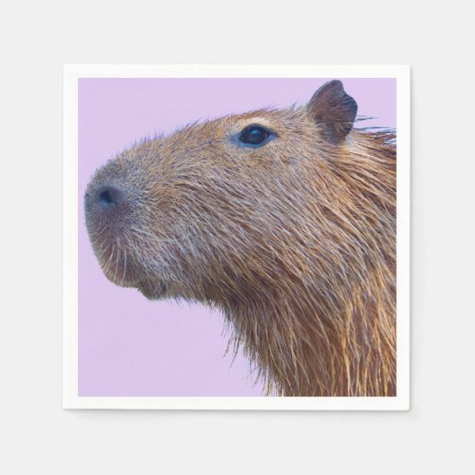 Serviette En Papier Capybara (Devant)