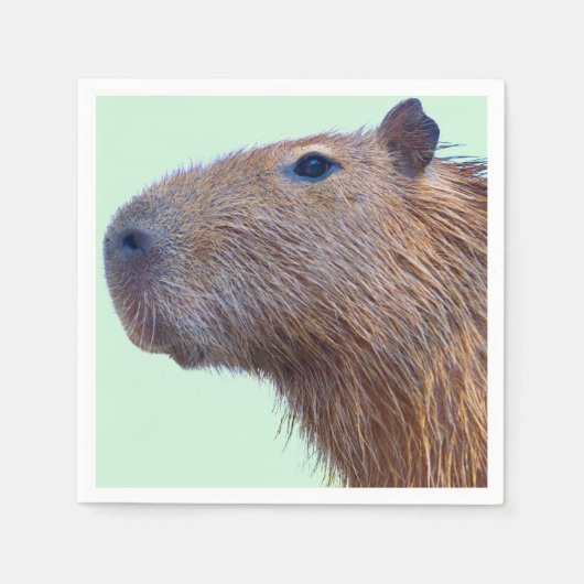 Serviette En Papier Capybara (Devant)