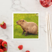Serviette En Papier Capybara (En situation)