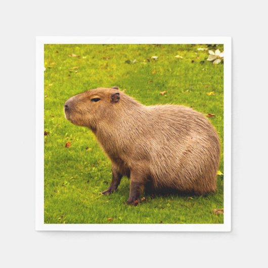Serviette En Papier Capybara (Devant)