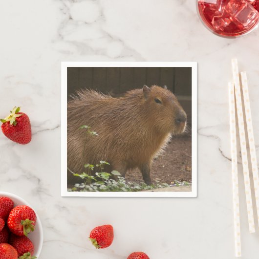 Serviette En Papier Capybara (En situation)
