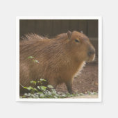 Serviette En Papier Capybara (Devant)