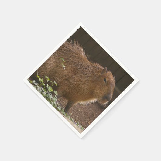 Serviette En Papier Capybara (Coin)