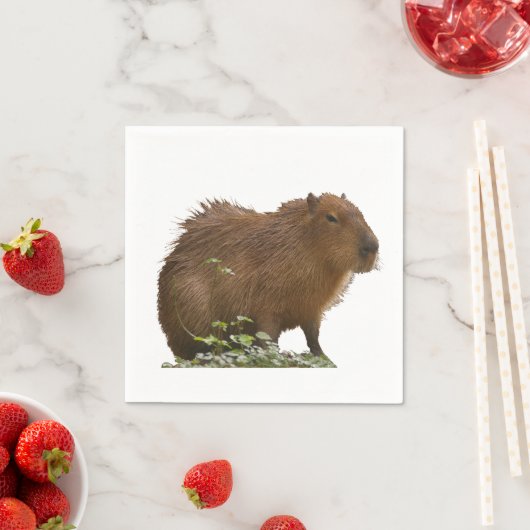 Serviette En Papier Capybara (En situation)