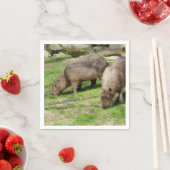 Serviette En Papier Capybara hydrochaeris (En situation)